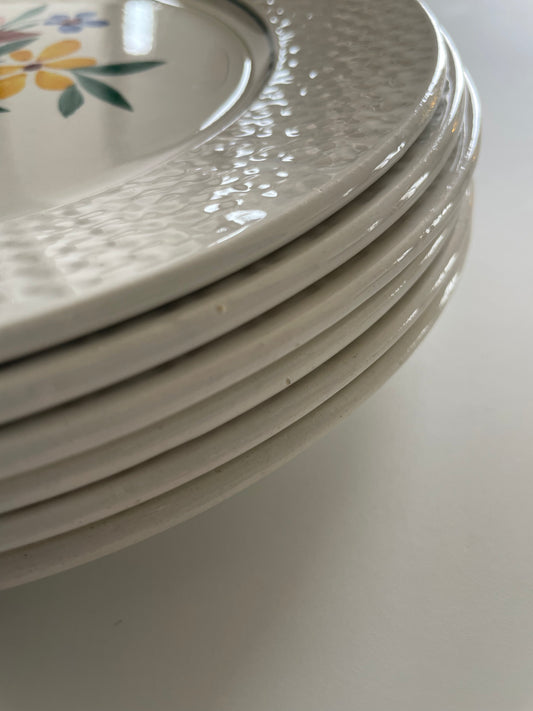 6 assiette terre de fer "Fabiola".