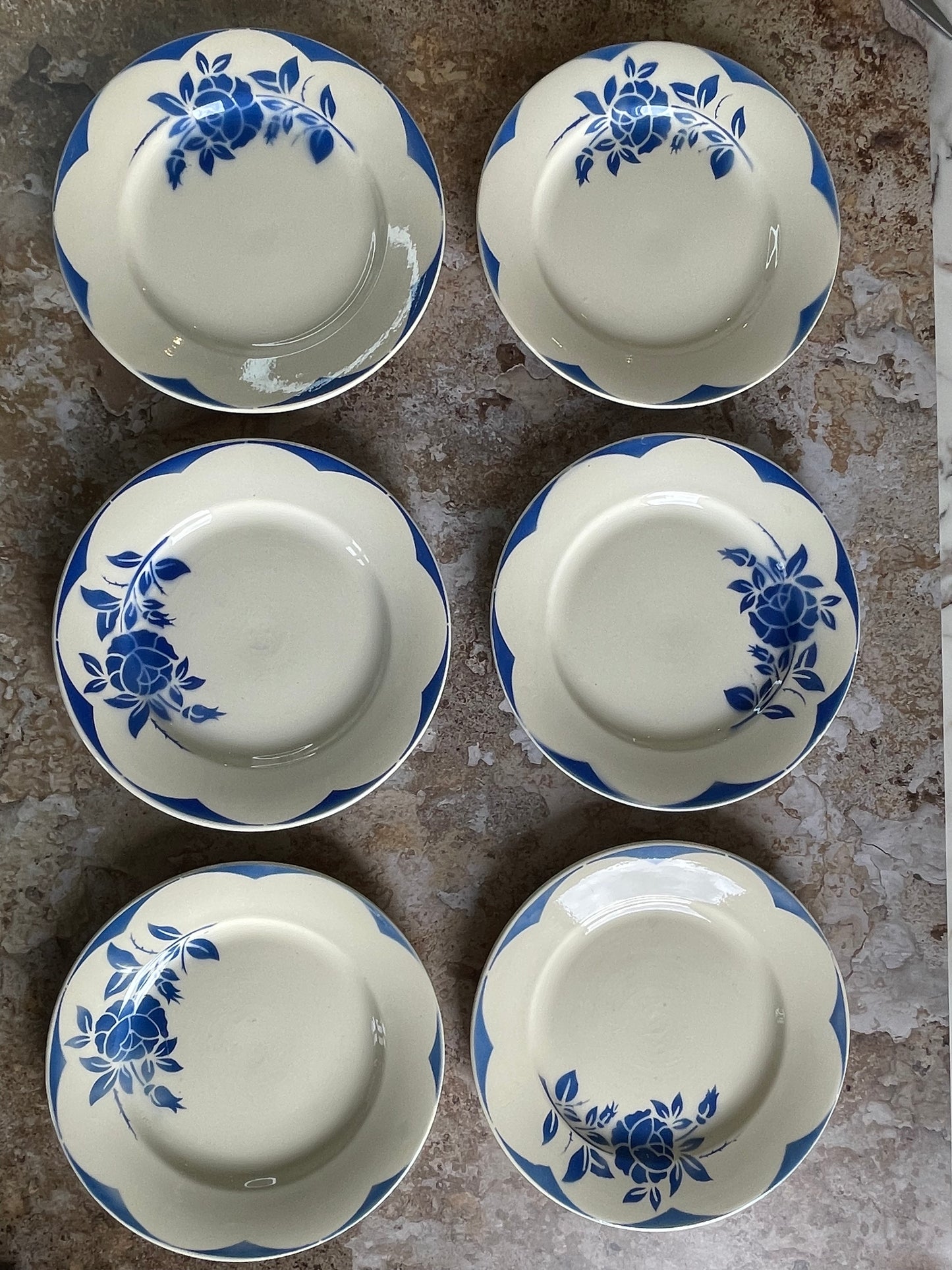 6 Corsica model flat plates