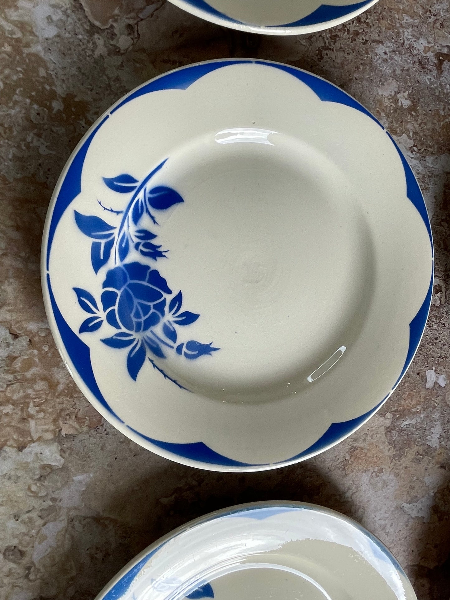 6 Corsica model flat plates