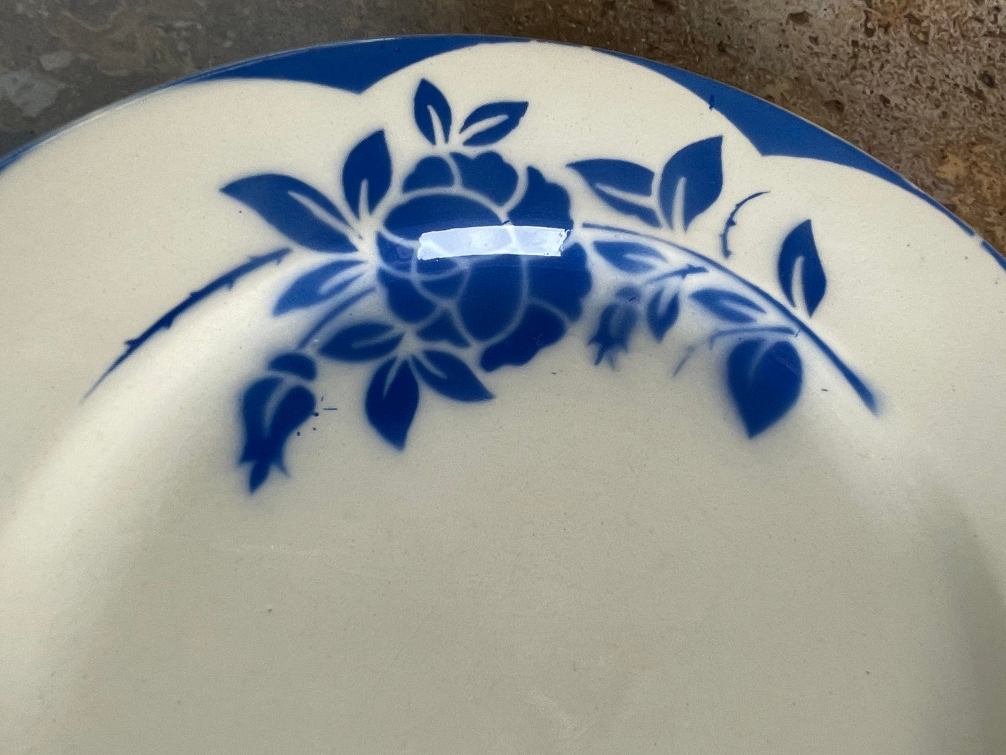6 Corsica model flat plates