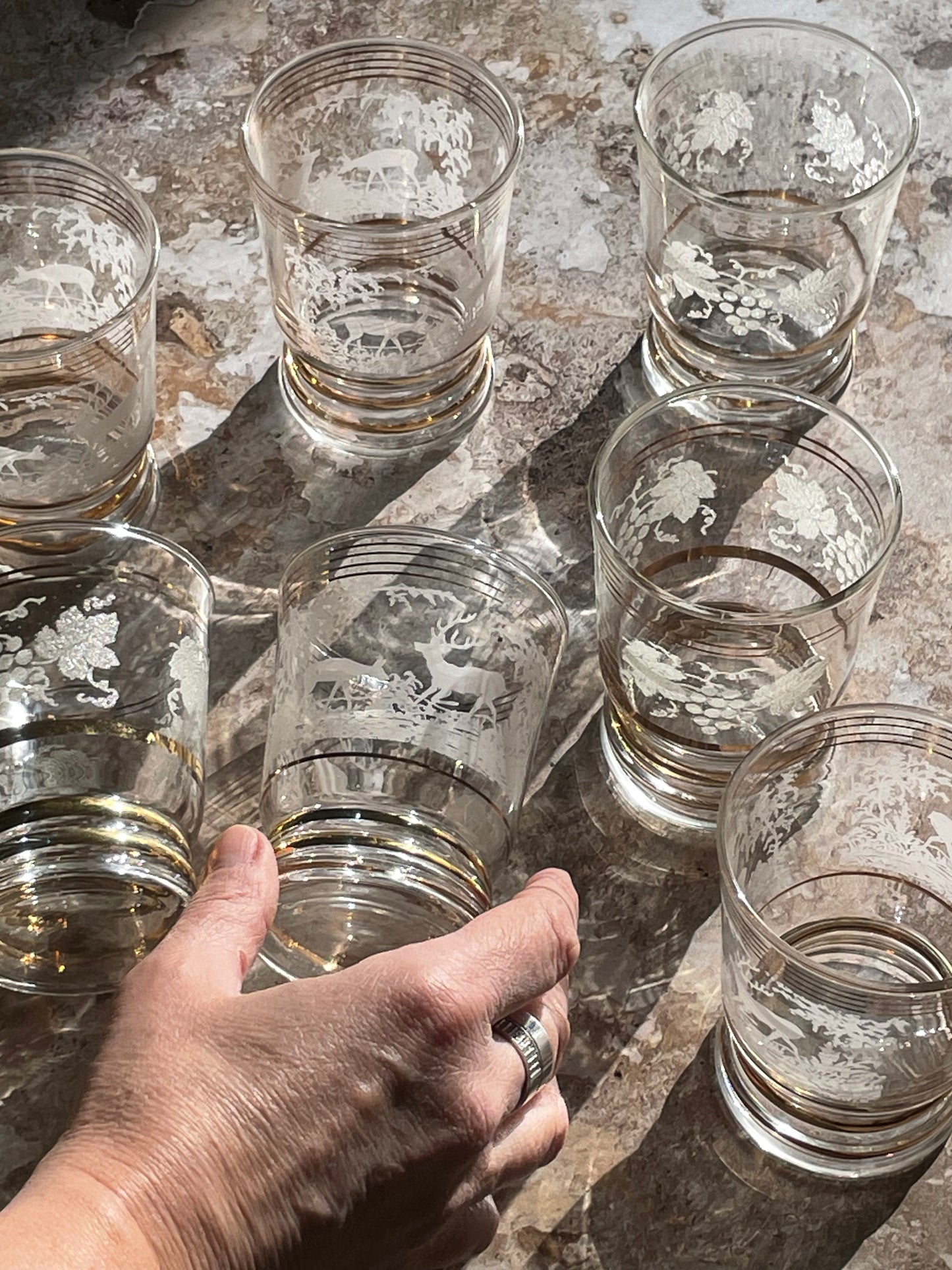 7 verres dorés et gravés