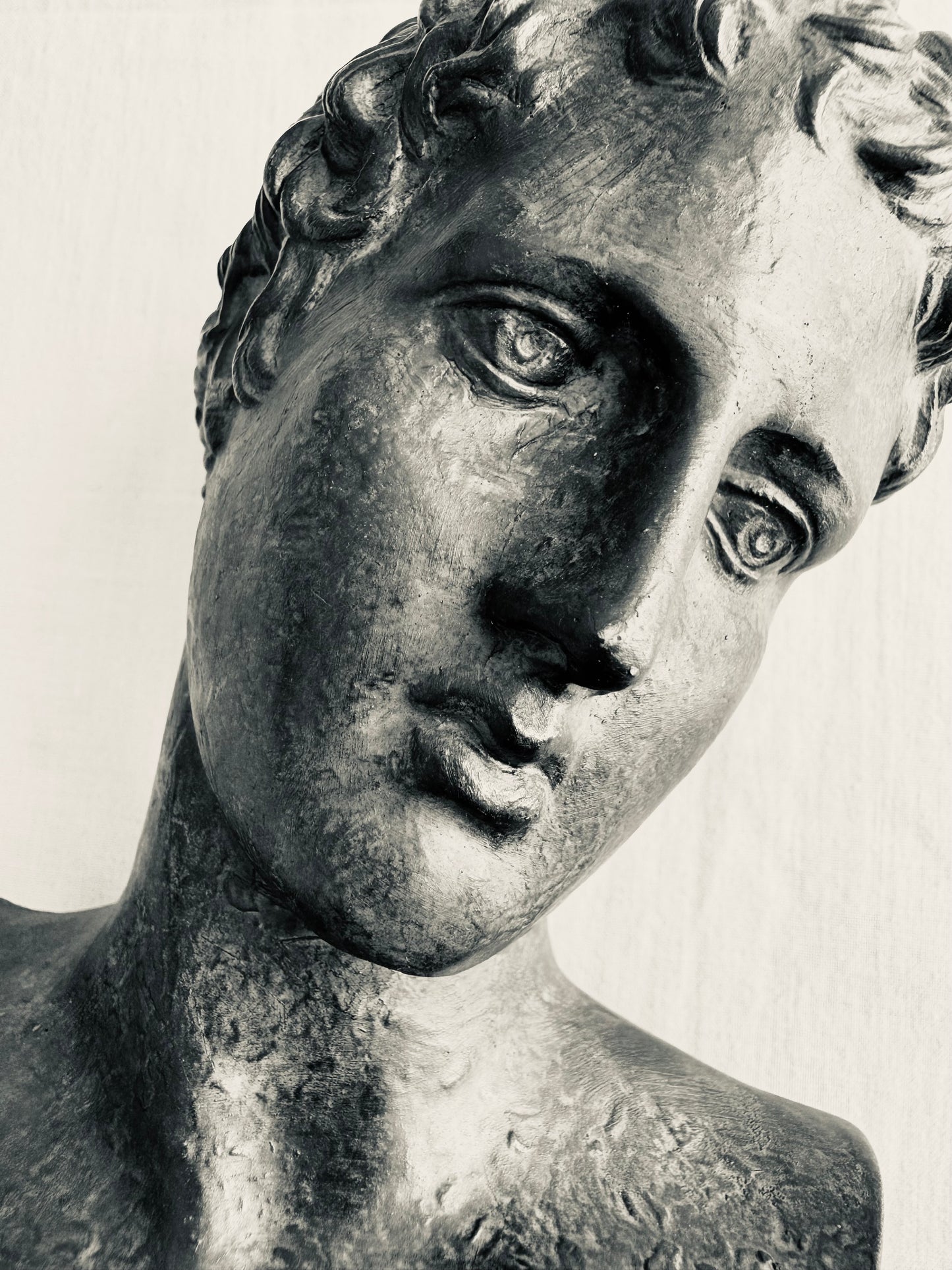 Petit buste d'éphèbe en régule