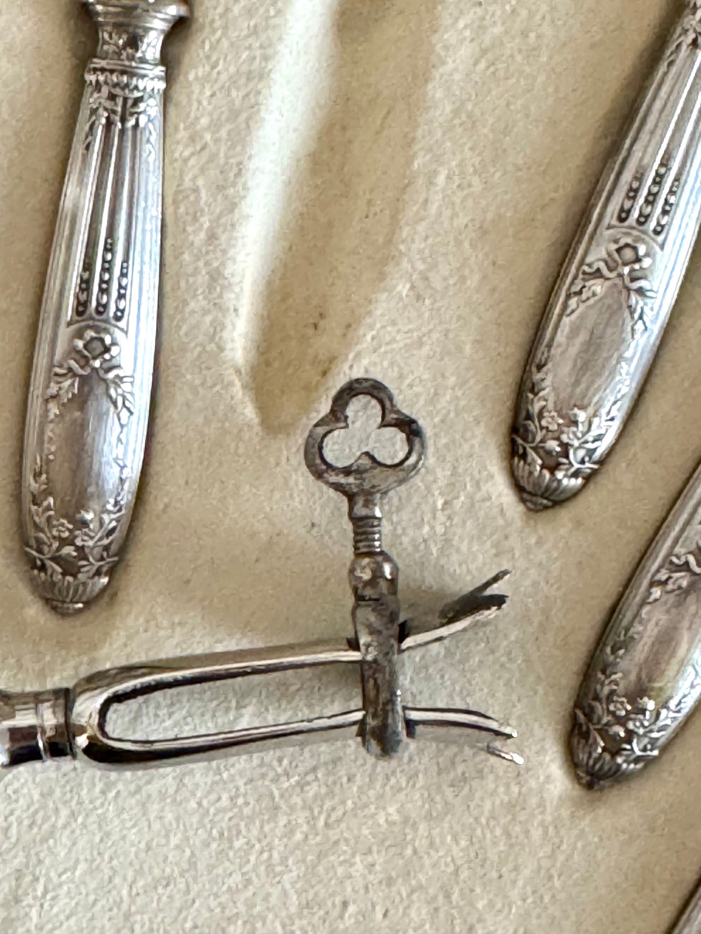 RARE! 6 manches/pinces à côtelettes en argent