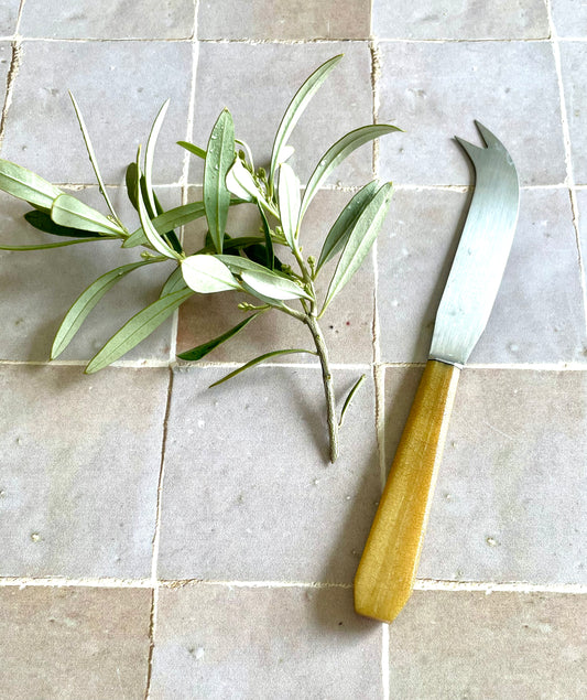 Couteau de service pour le fromage