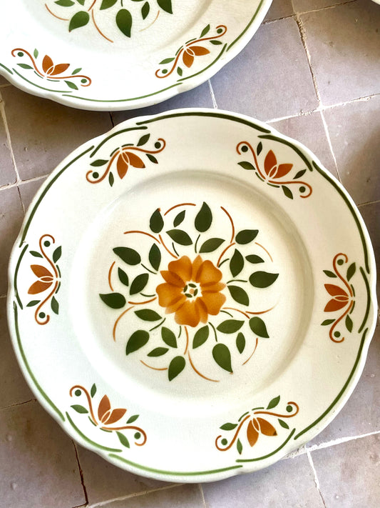 6 assiettes plates Badonviller modèle "Chantilly"