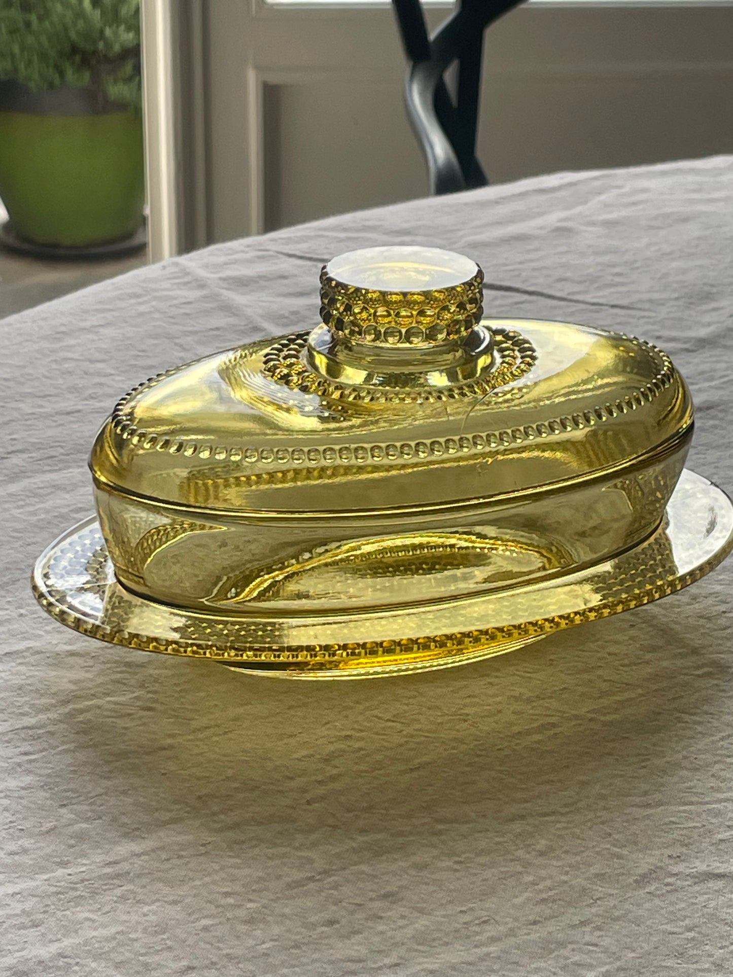 Oval glass butter dish