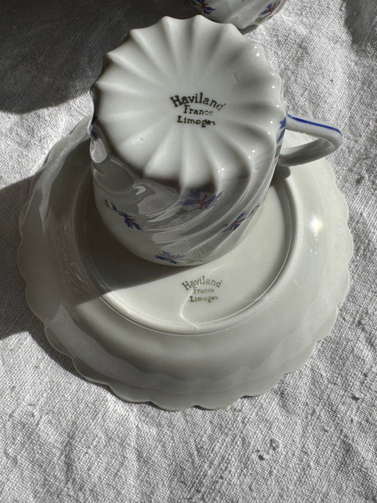 Tasses à café Haviland Limoges. Décor barbeaux, début XXè.