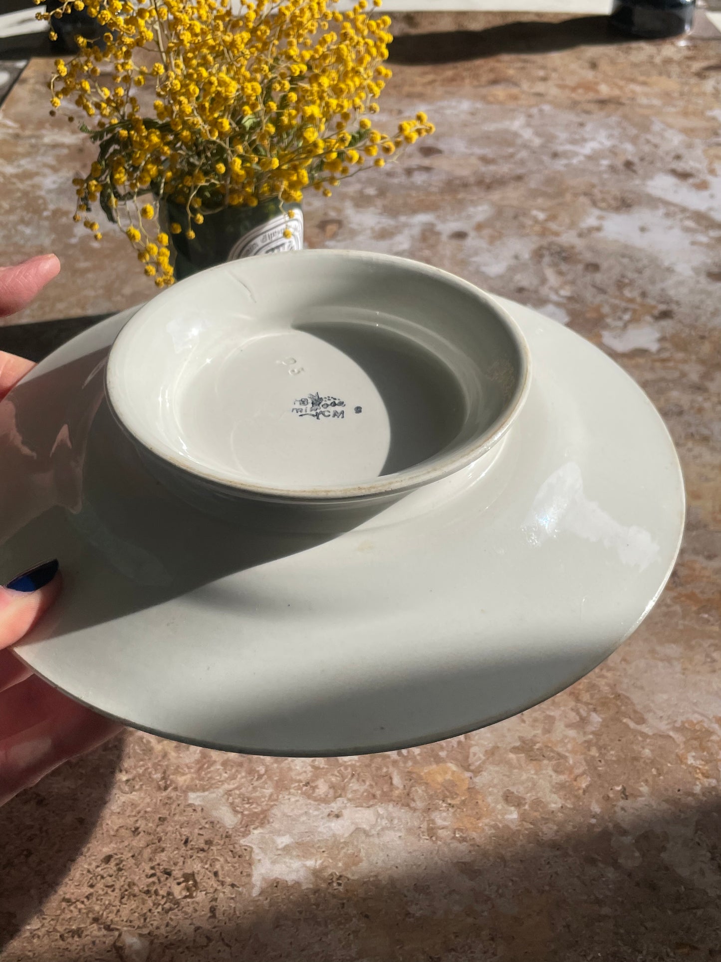 Fine earthenware fruit bowl