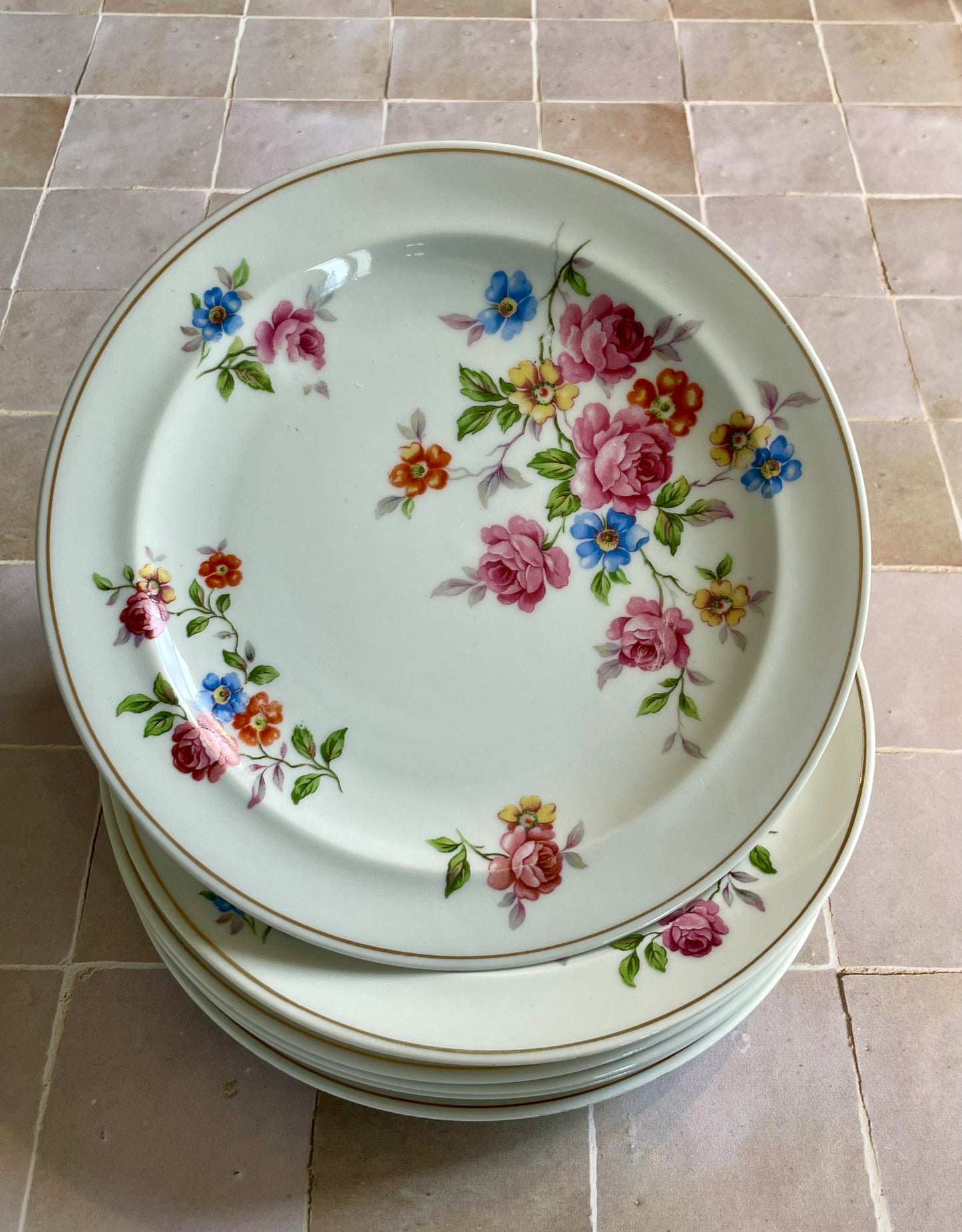 6 Raynaud Limoges porcelain flat plates