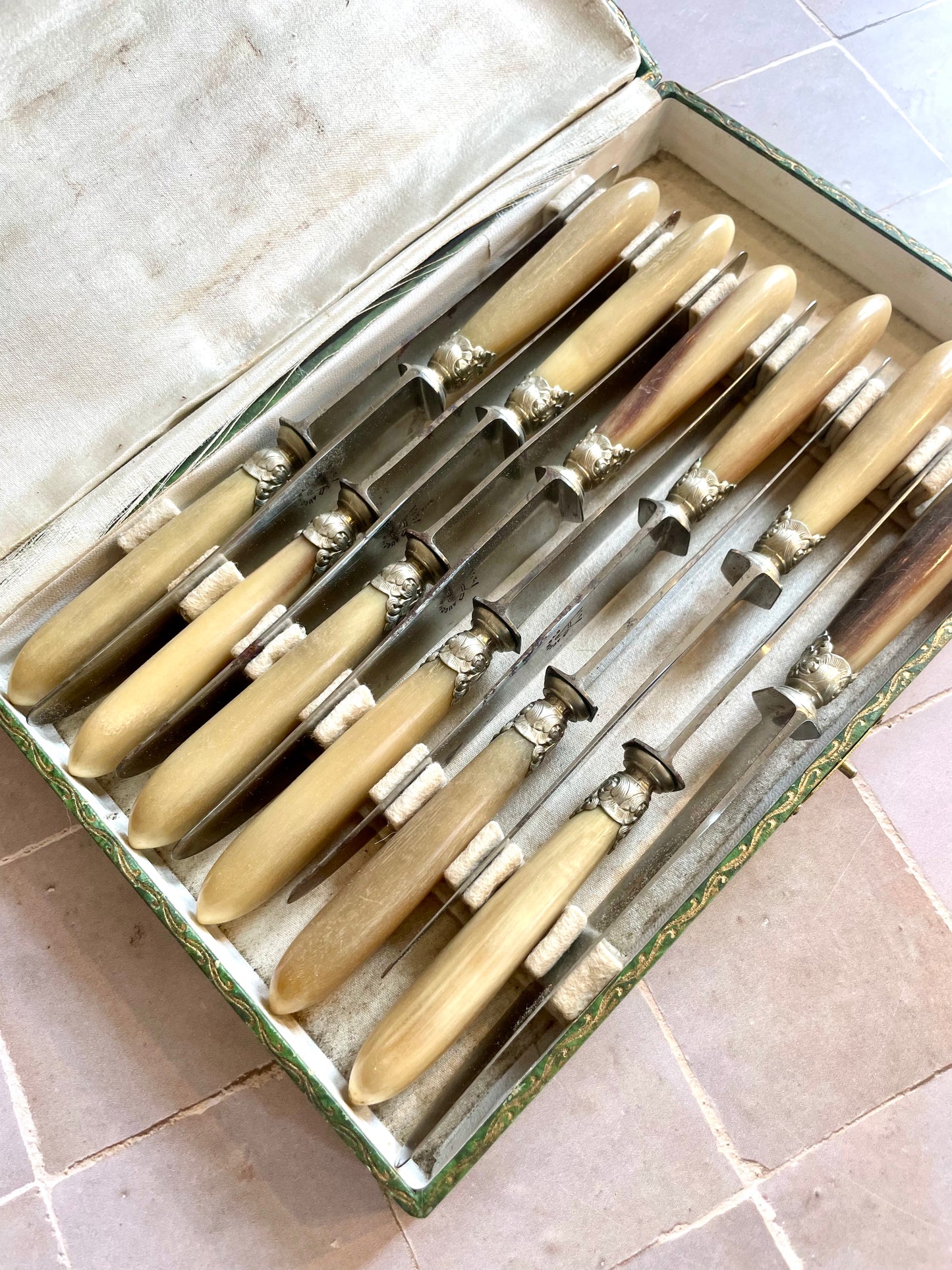 12 “Au Compas” table knives in horn and steel.
