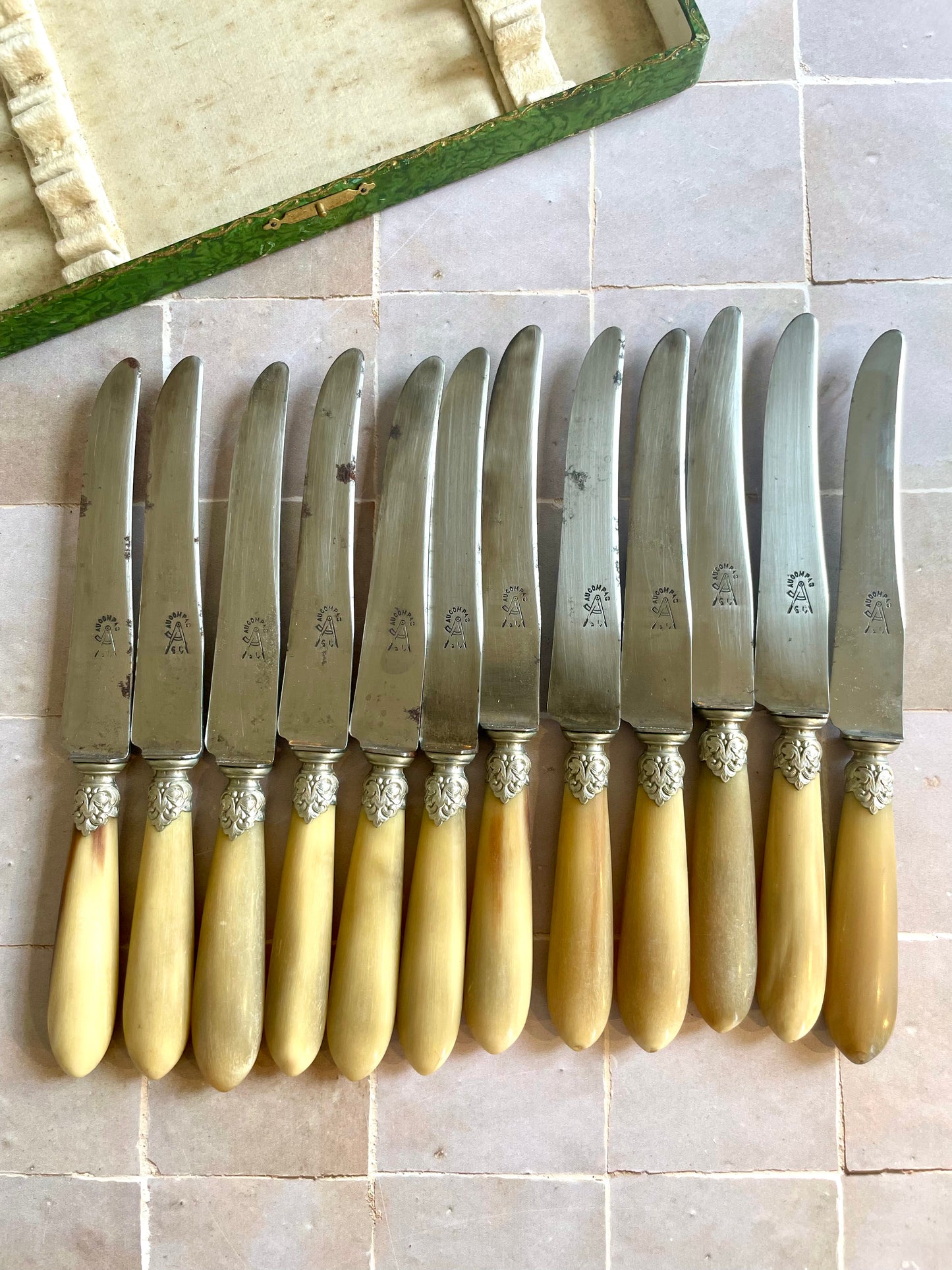 12 “Au Compas” table knives in horn and steel.